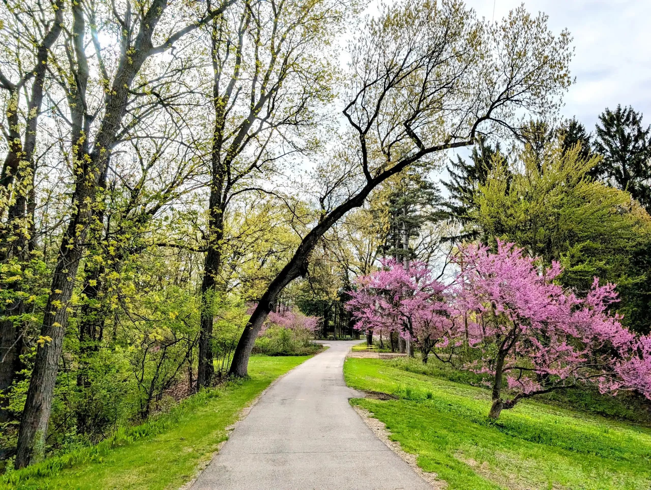 Augusta, Michigan