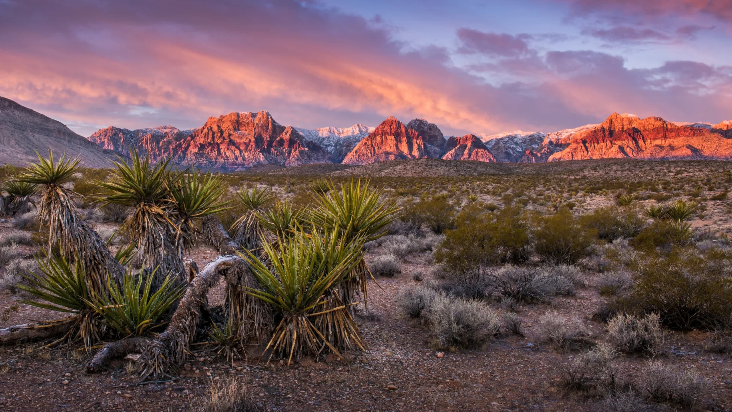 Nevada