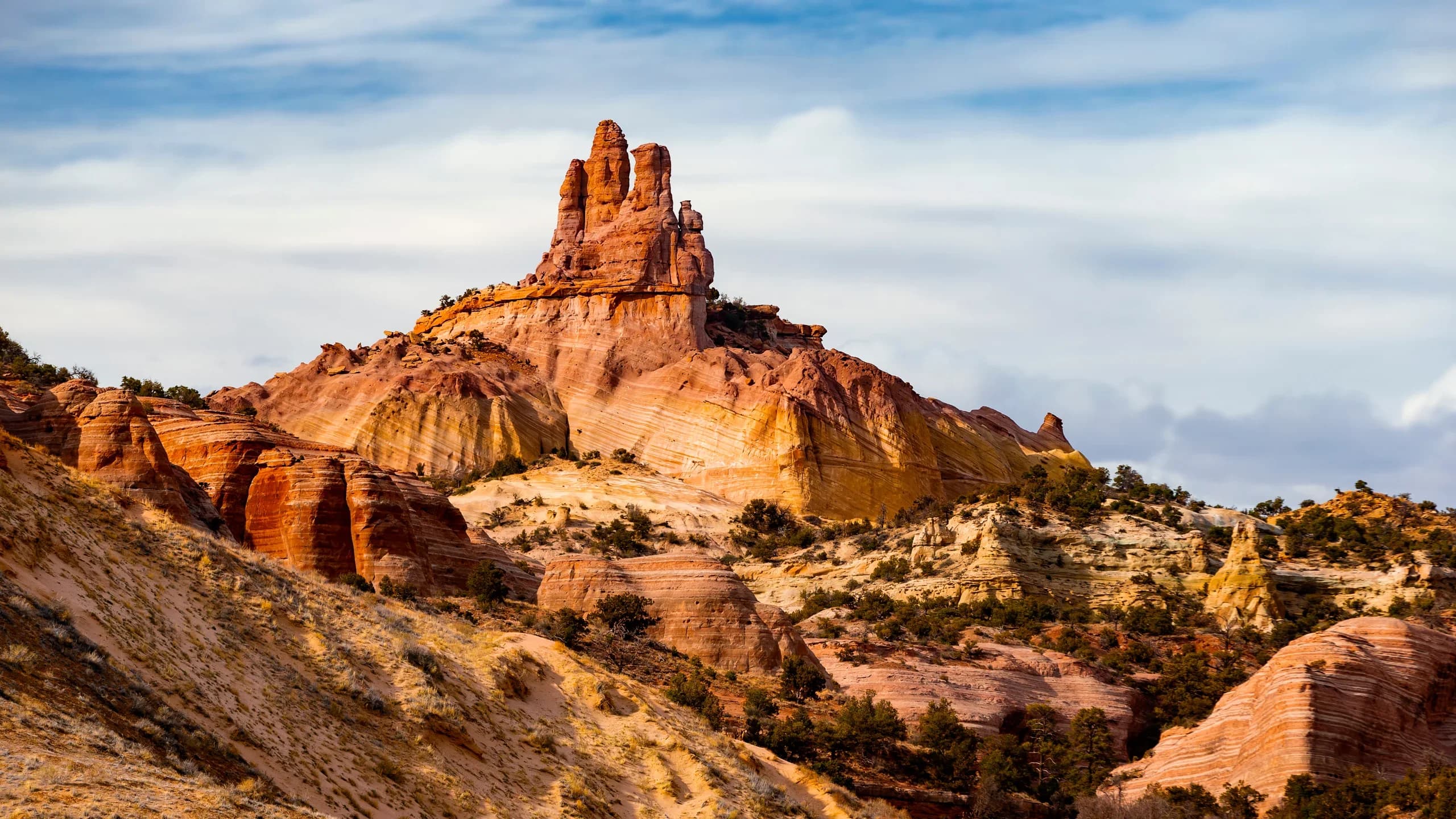 New Mexico