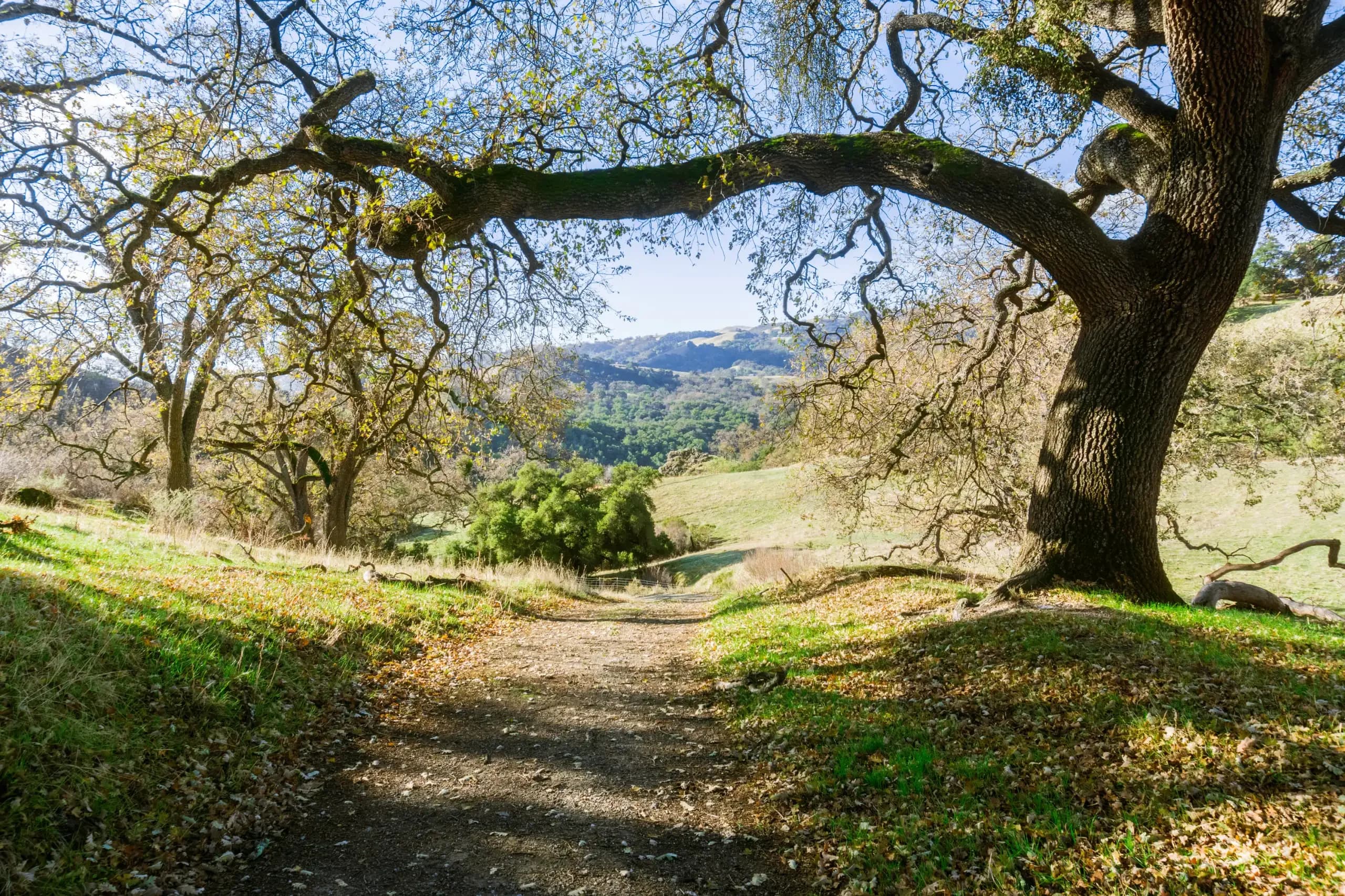 Sunol, California
