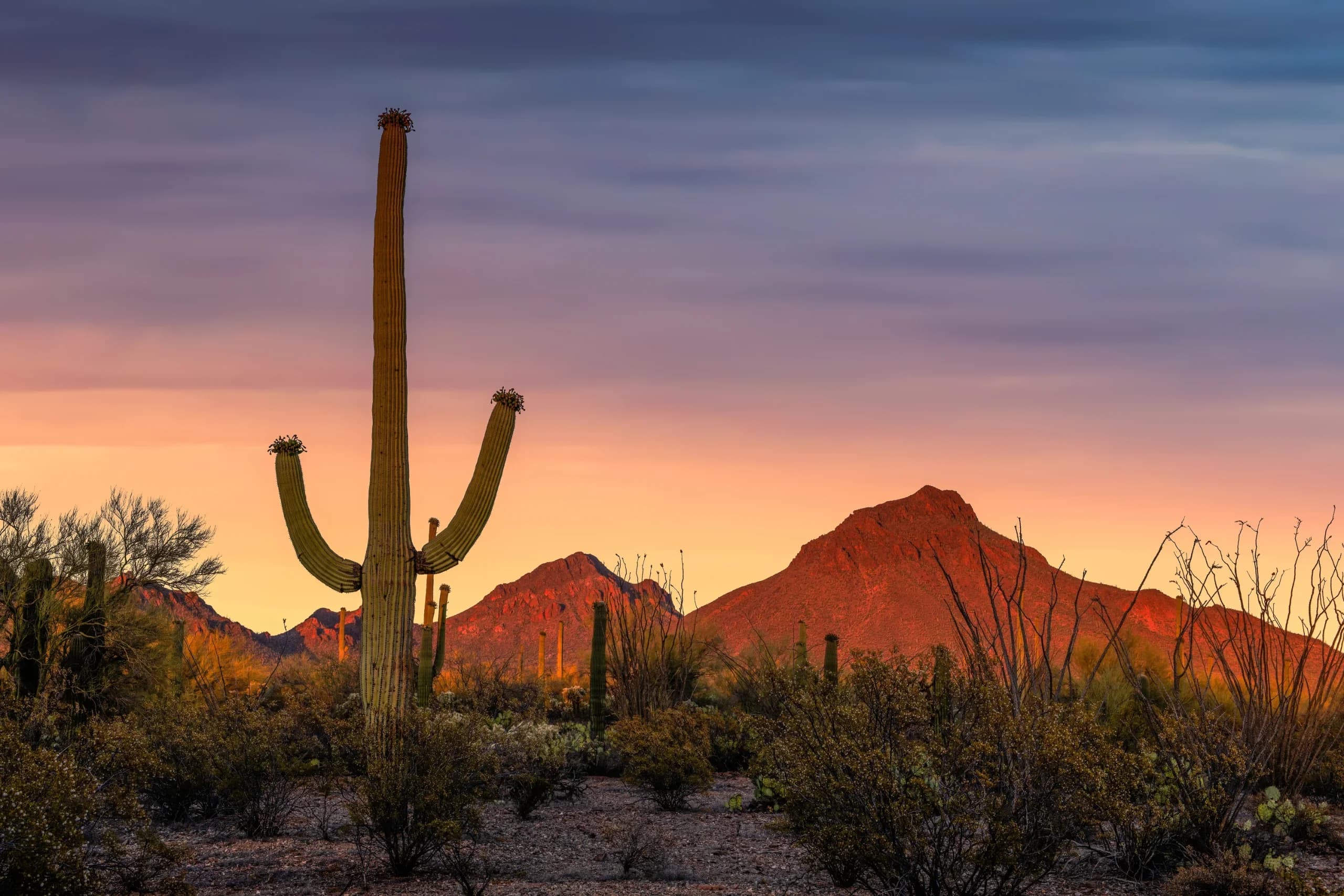 Tucson, Arizona