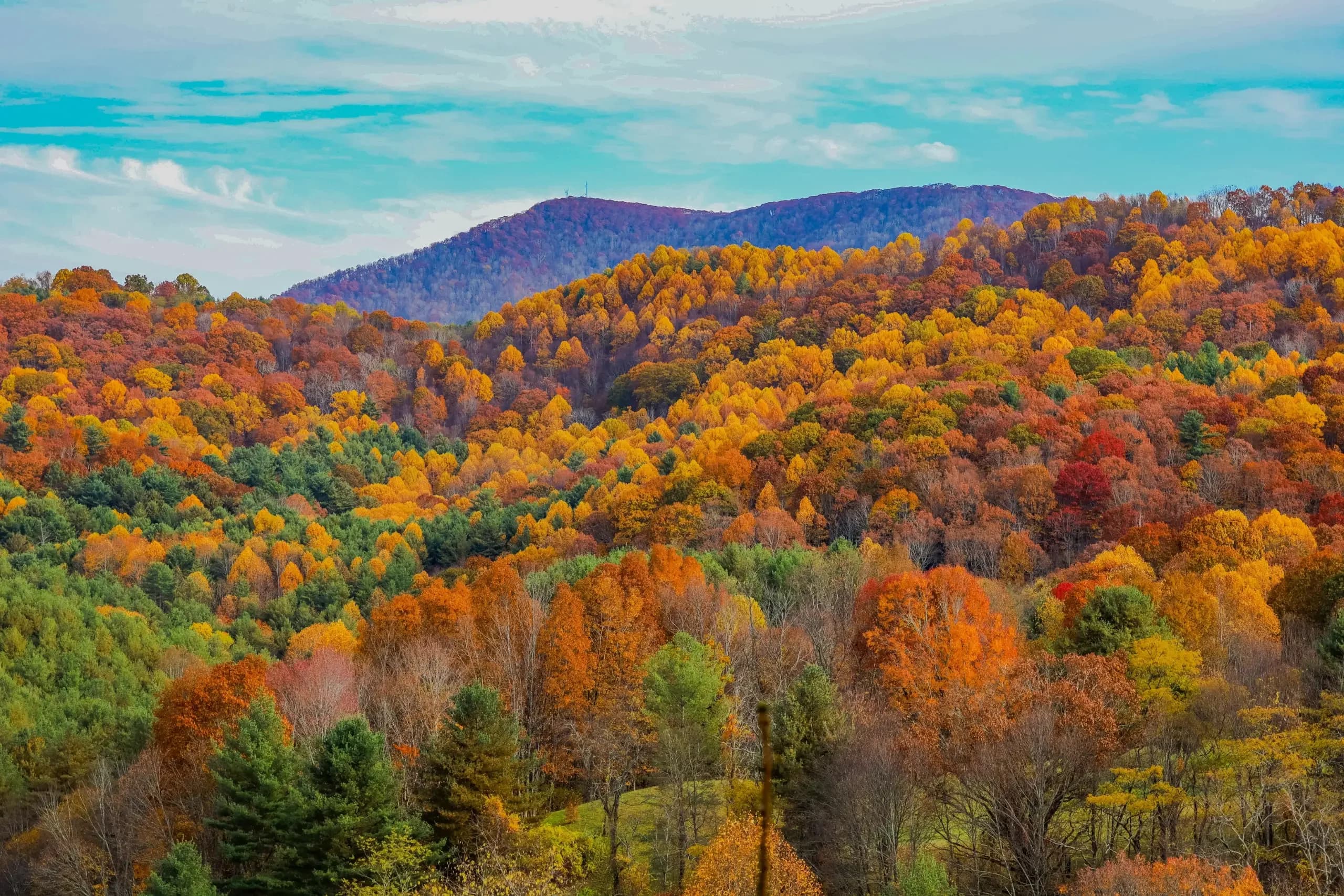 Virginia